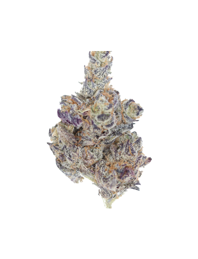 Purple Truffle 2 Purple Truffle