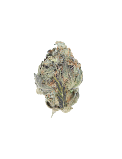 Strawberry Amnesia bud Strawberry Amensia