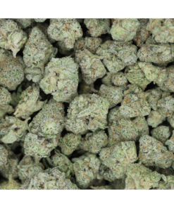Sundae Driver Bag