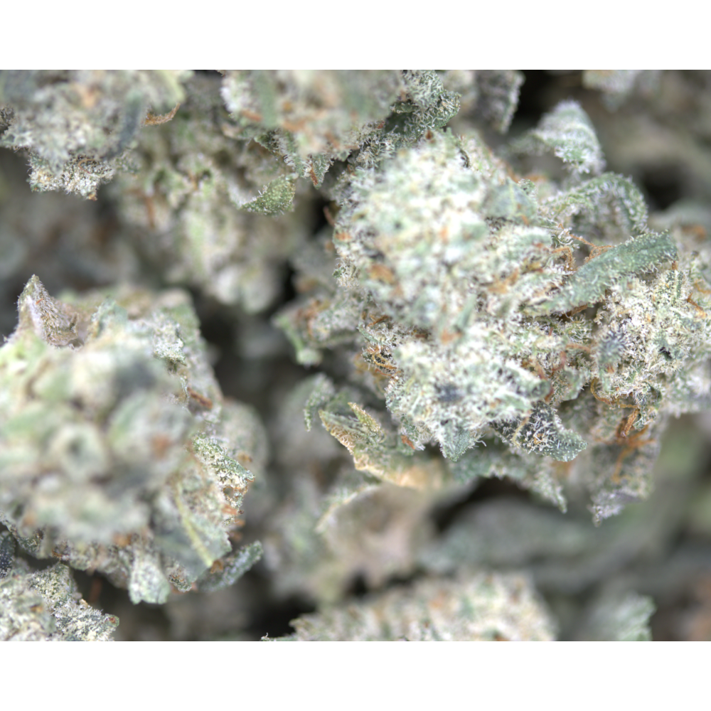 Animal Cookies Smalls bag Animal Cookies Smalls