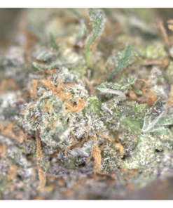 Grape Diesel Bag Grape Diesel Bag