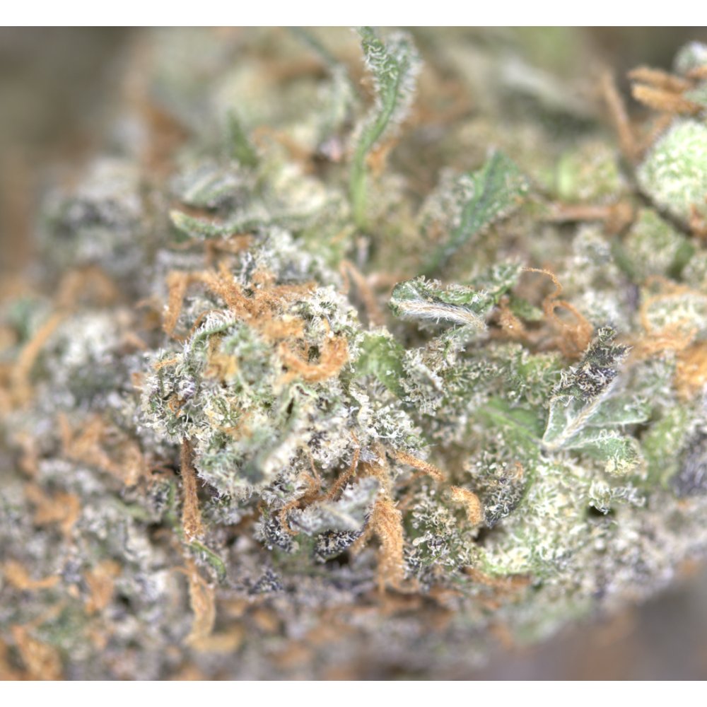 Grape Diesel Bag Grape Diesel