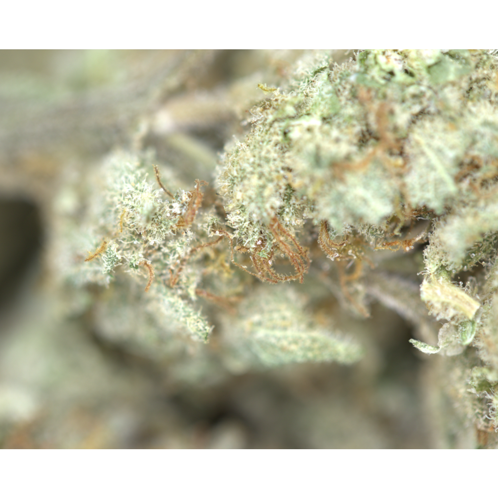 La Kush Cake Bag LA Kush Cake