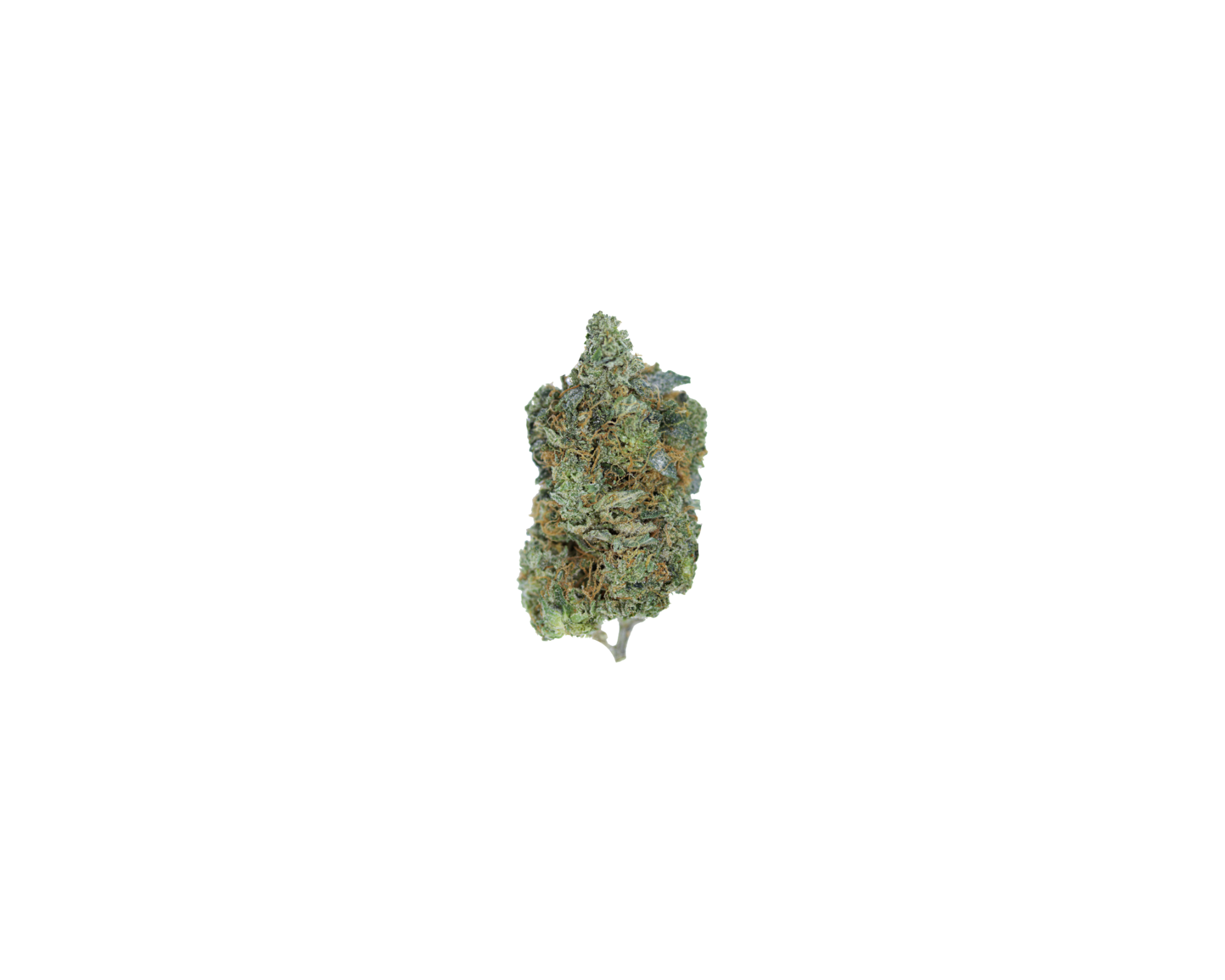 NY diesel NY Diesel