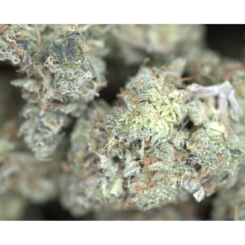 NYC Diesel Bag NY Diesel