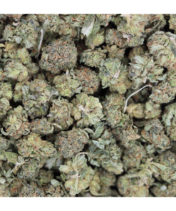 Peanut Butter Rockstars Smalls 1