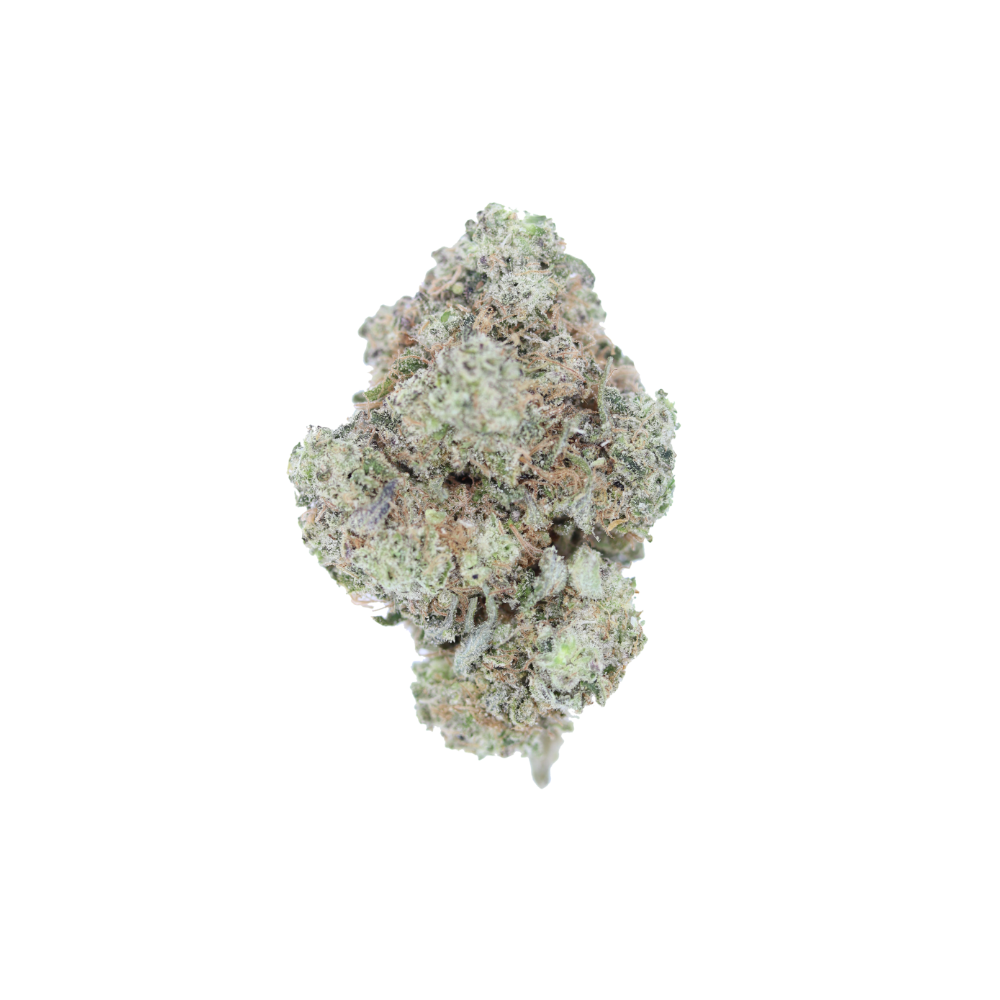 Sour Gorilla 1 Sour Gorilla