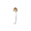 7G Mushrooms