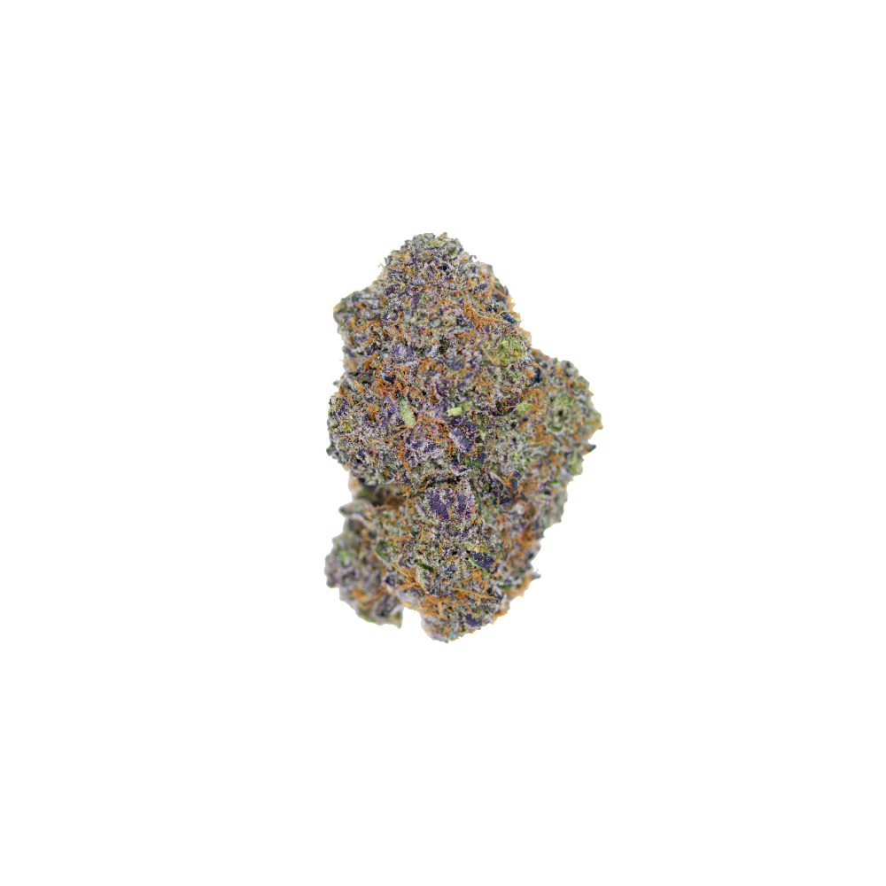 Clementine Sherbet AAA Flower 7G