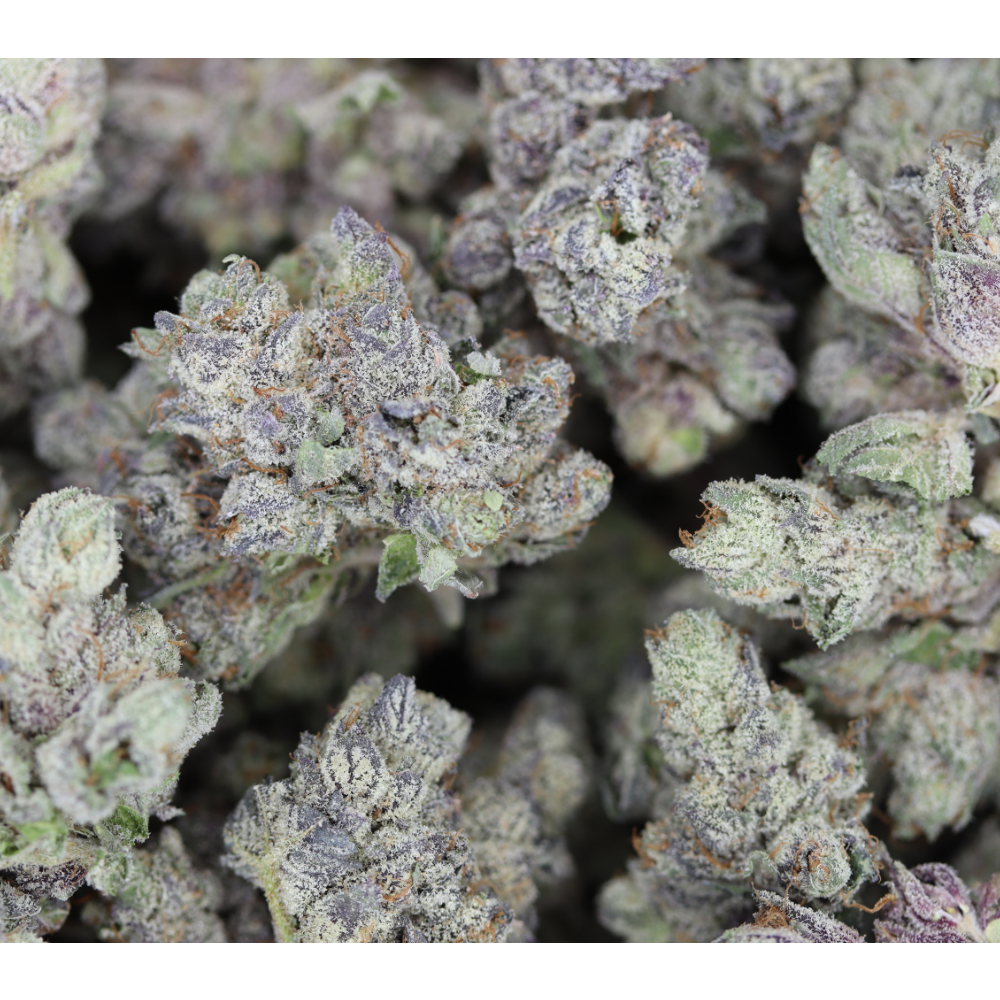 Alien Space Cookies Bag Island Exotics - Alien Space Cookies