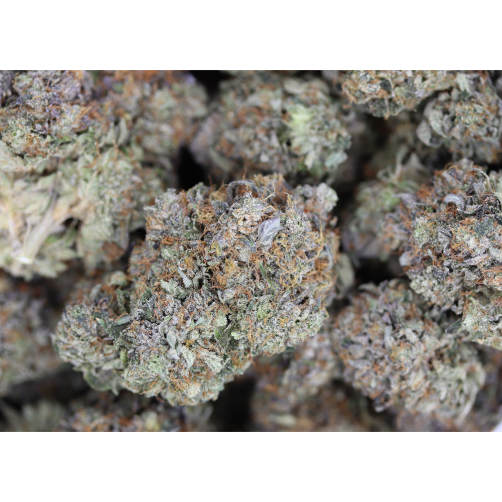 GM Diablo Death Bubba Bag Gas Militia - Diablo Death Bubba