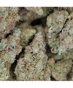 Purple Gusherz Bag 1