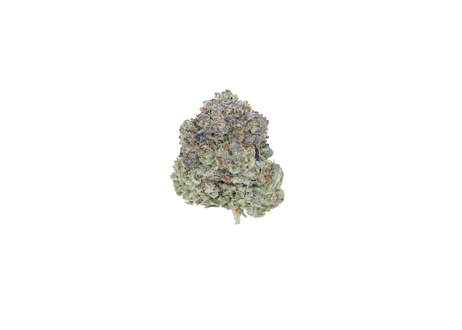 Slurricane 3 Dosi Punch