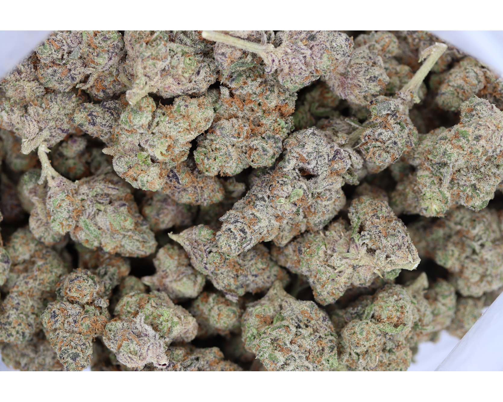 Blue Berry Cookies Bag Blueberry Cookies