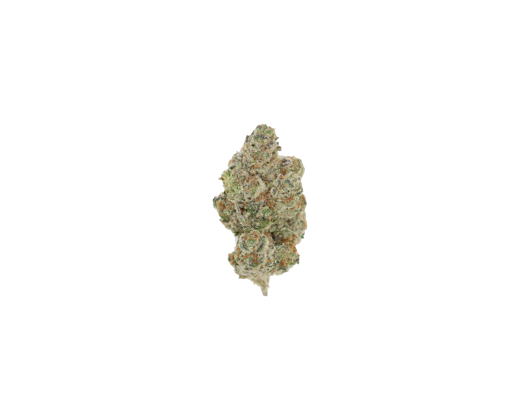 Blue Berry Cookies Blueberry Cookies