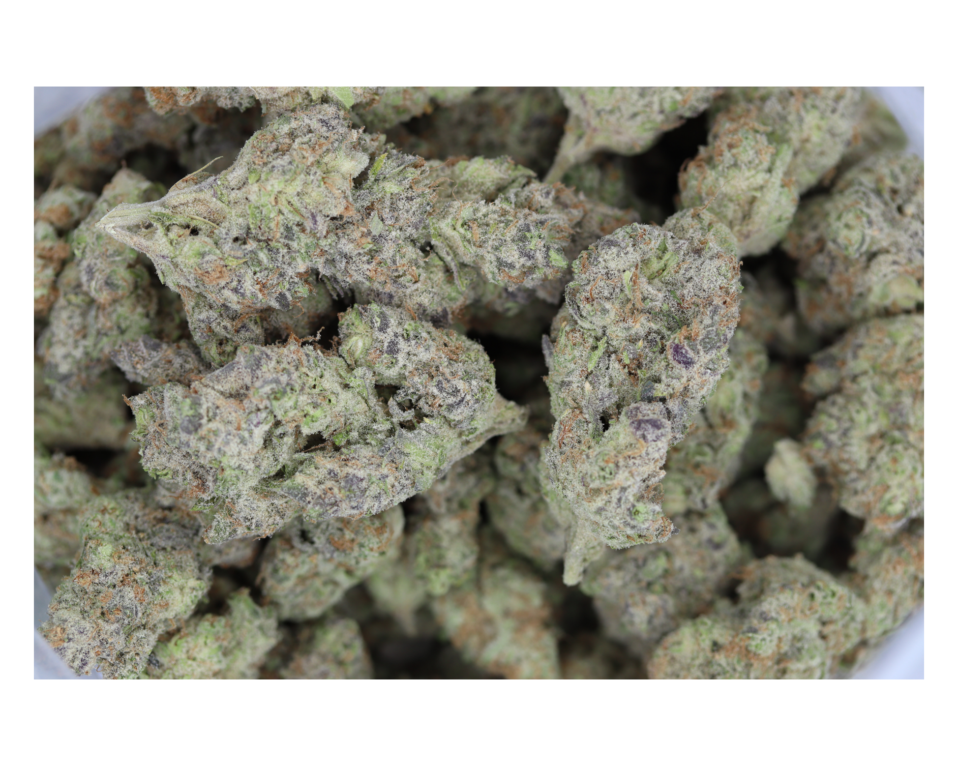 Island Exotics Sundae Driver Bag Island Exotics - Durban Poison