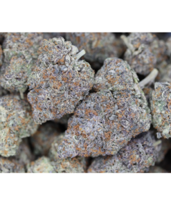 Purple Octane Bag