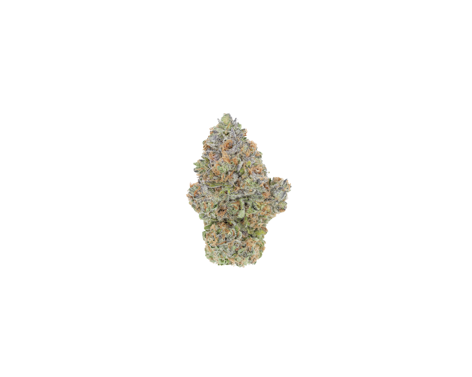 Purple Petrol Purple Petro