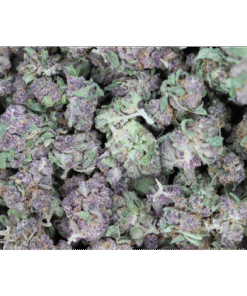 Purple Tangie Bags 1 Purple Tangie Bags 1