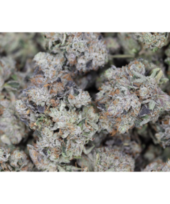 Tuna OG LSO Bag Tuna OG LSO Bag