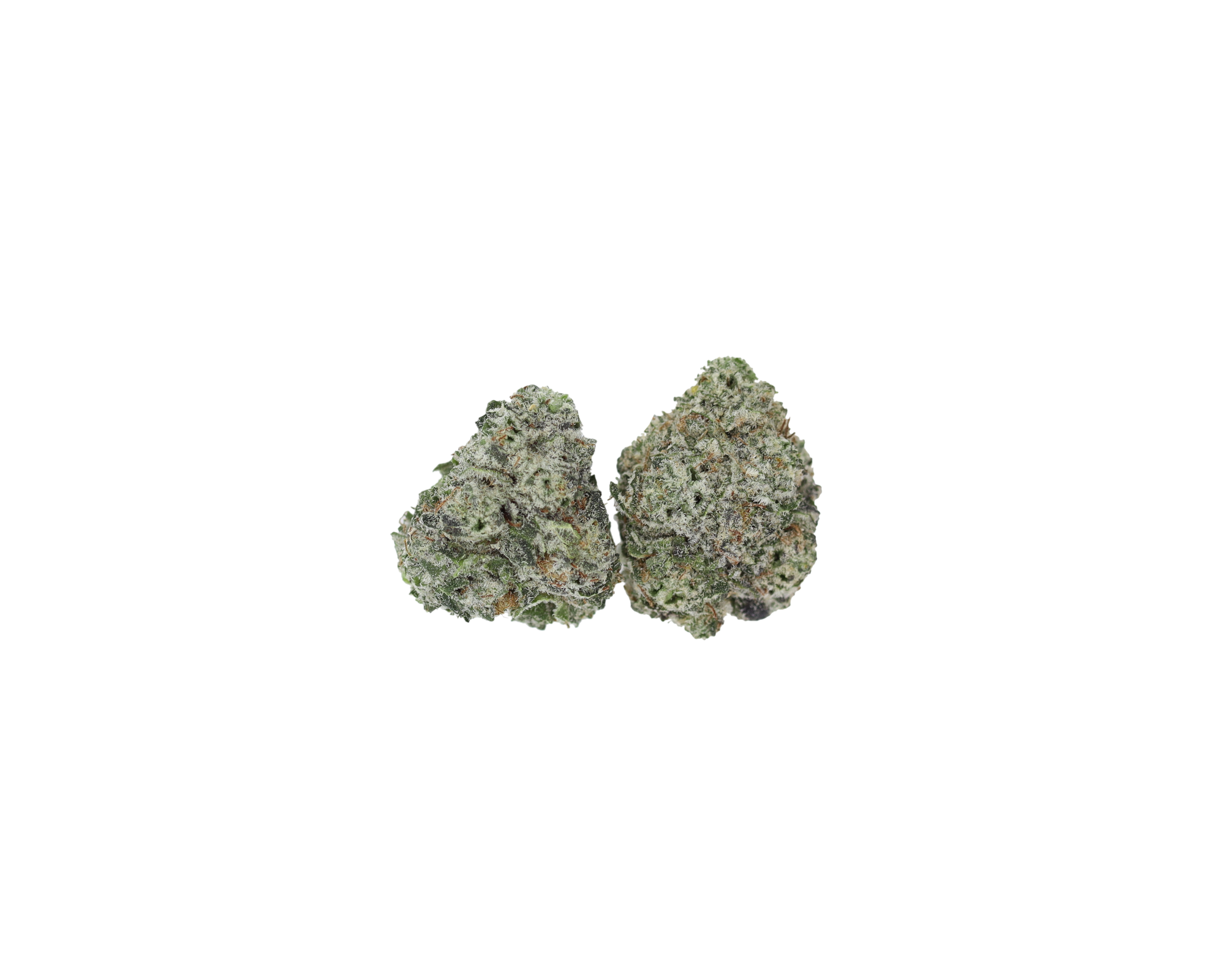 Platinum Purple Smalls Platinum Purple Smalls
