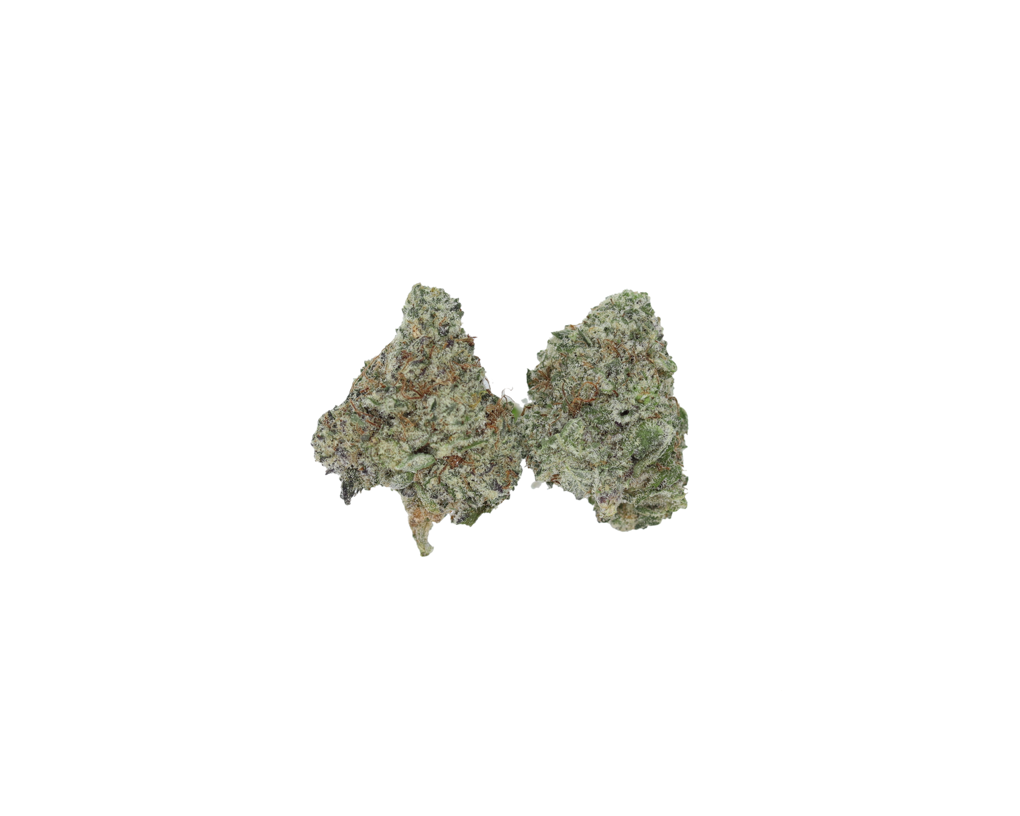 Poison OG Smalls 1 Poison OG Smalls