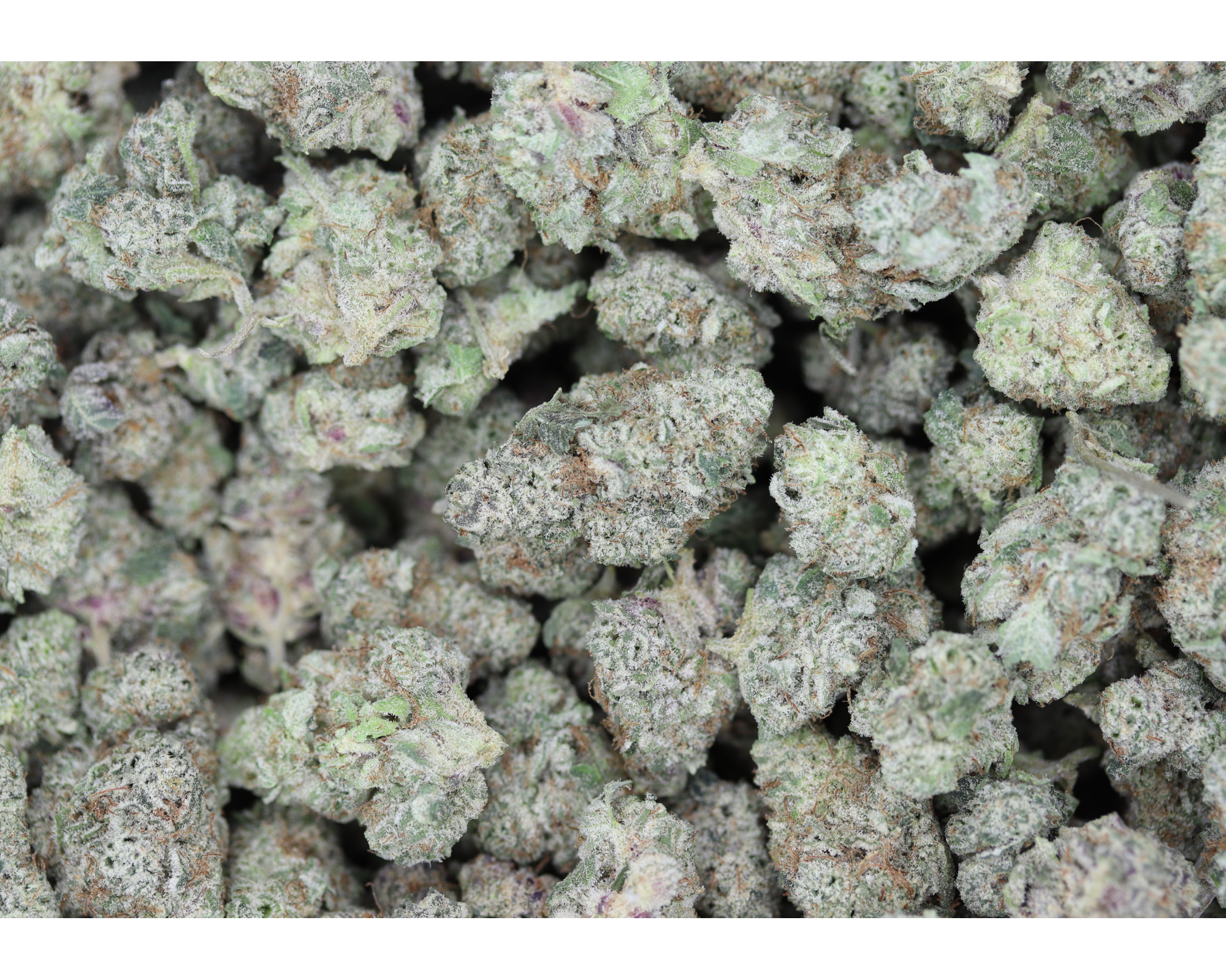 Poison OG Smalls Bag Poison OG Smalls