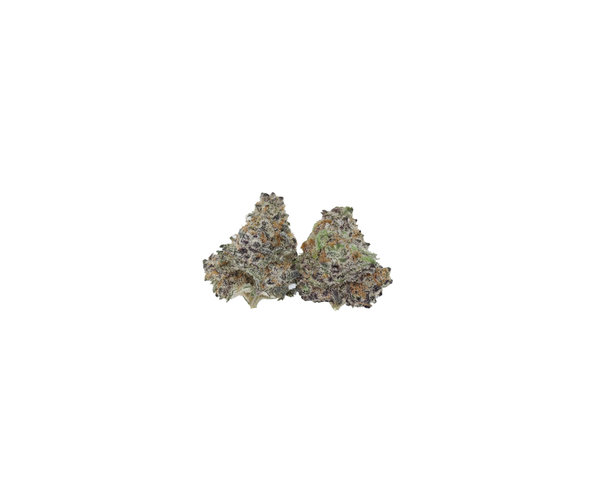 Tropicanna Cookies Smalls Tropicana Cookies Smalls