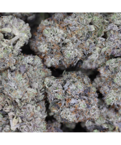 Gas Militia La Confidential Bag Gas Militia La Confidential Bag