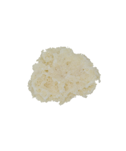 Northern Lights Crumble