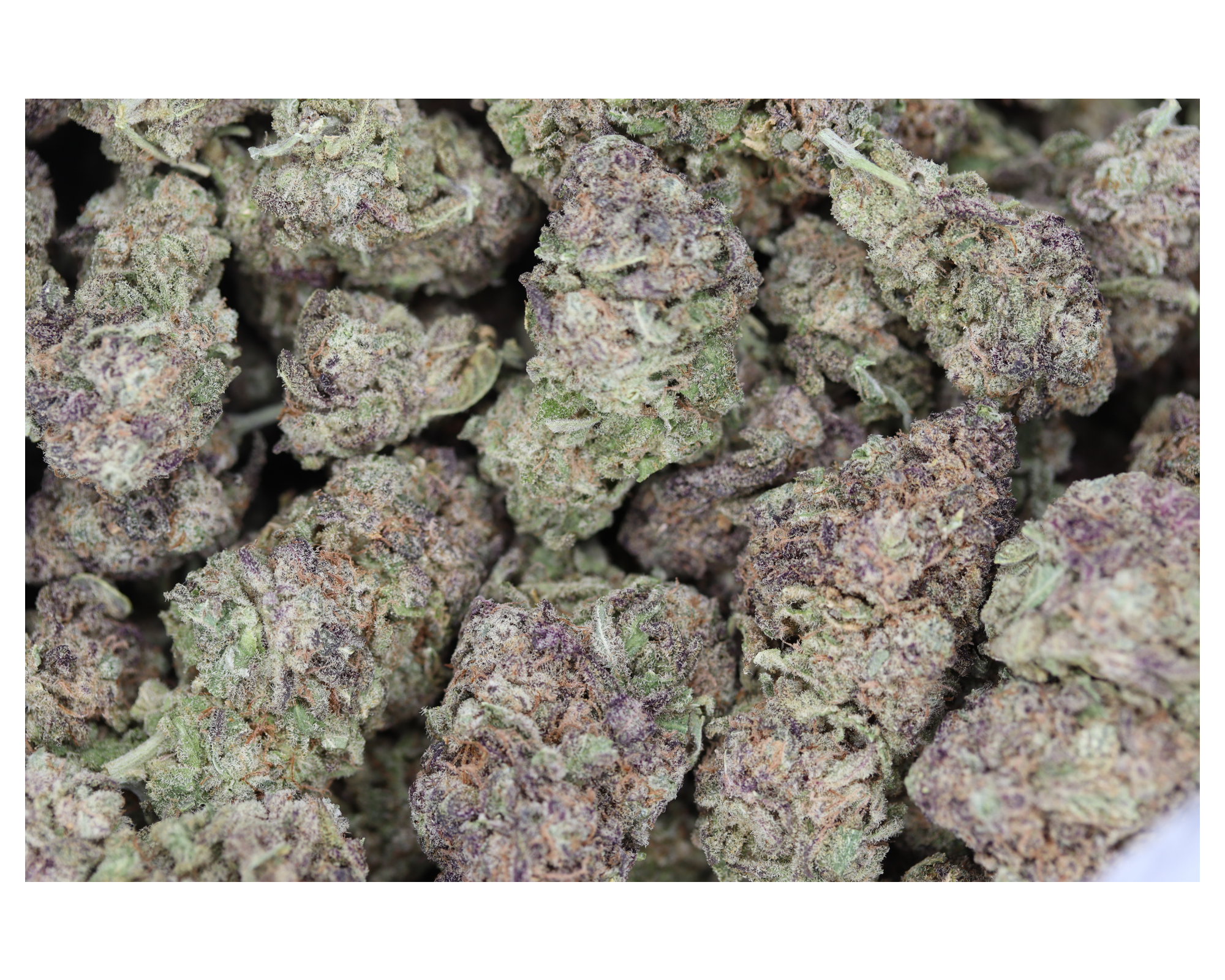 Tangerina Haze Bag Tangerine Dream
