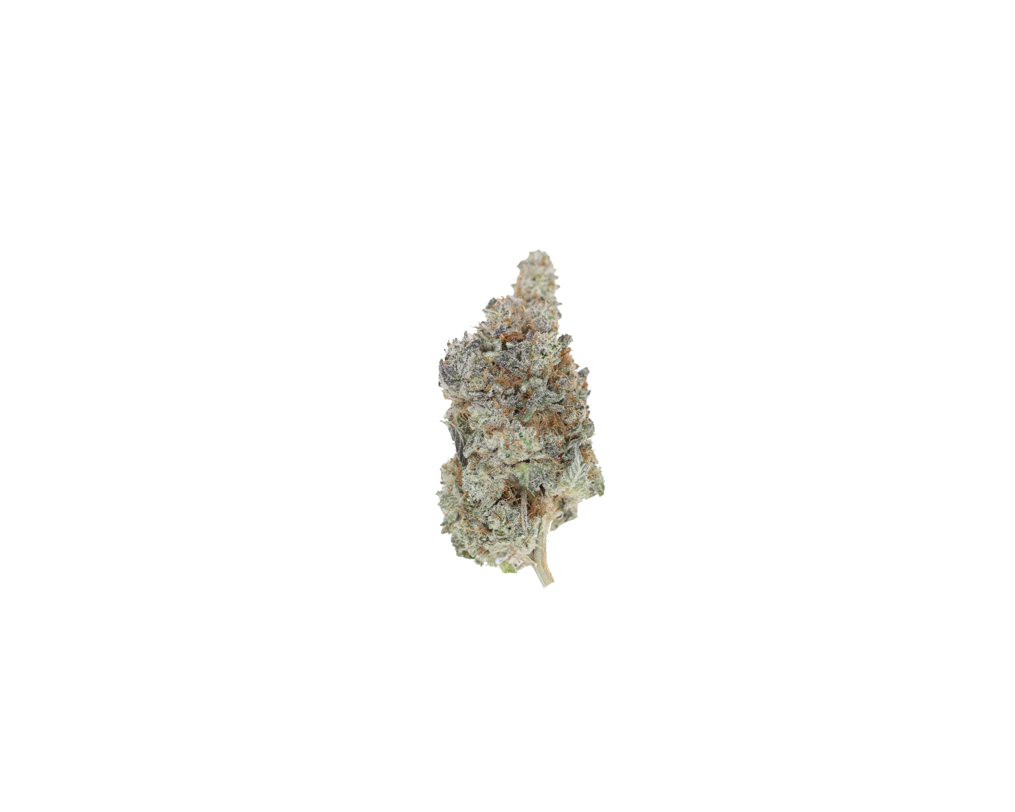 sunset OG 1 Sunset OG