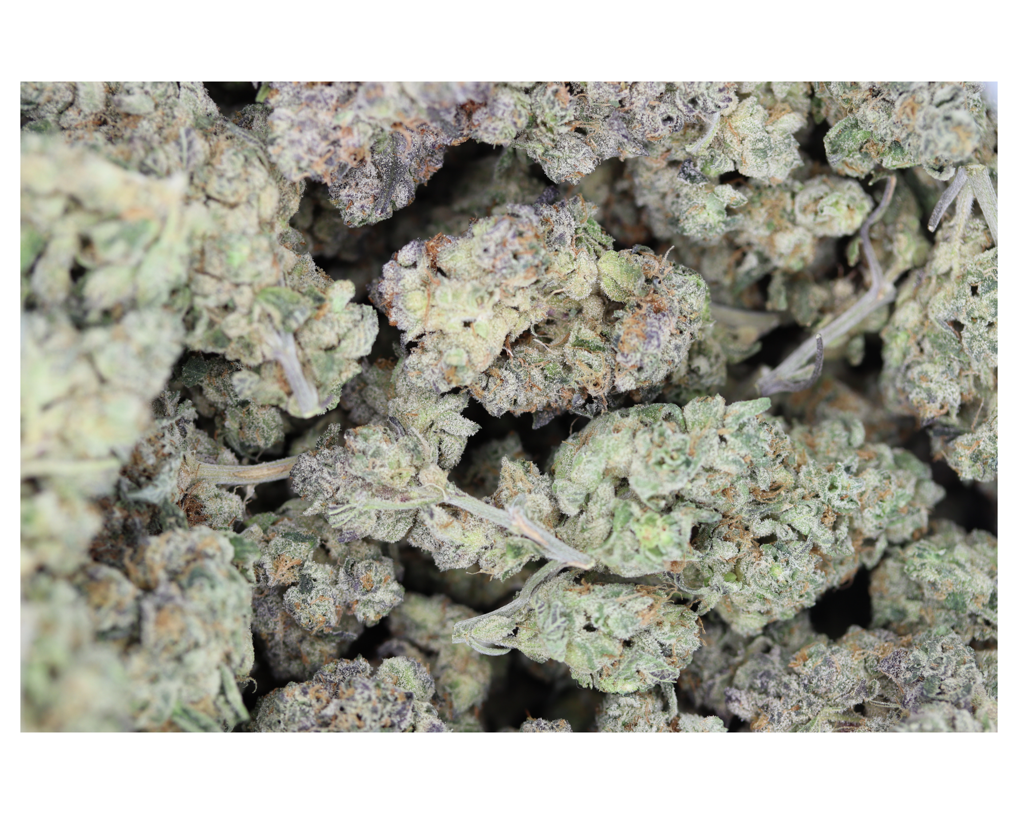 sunset OG Bag Sunset OG