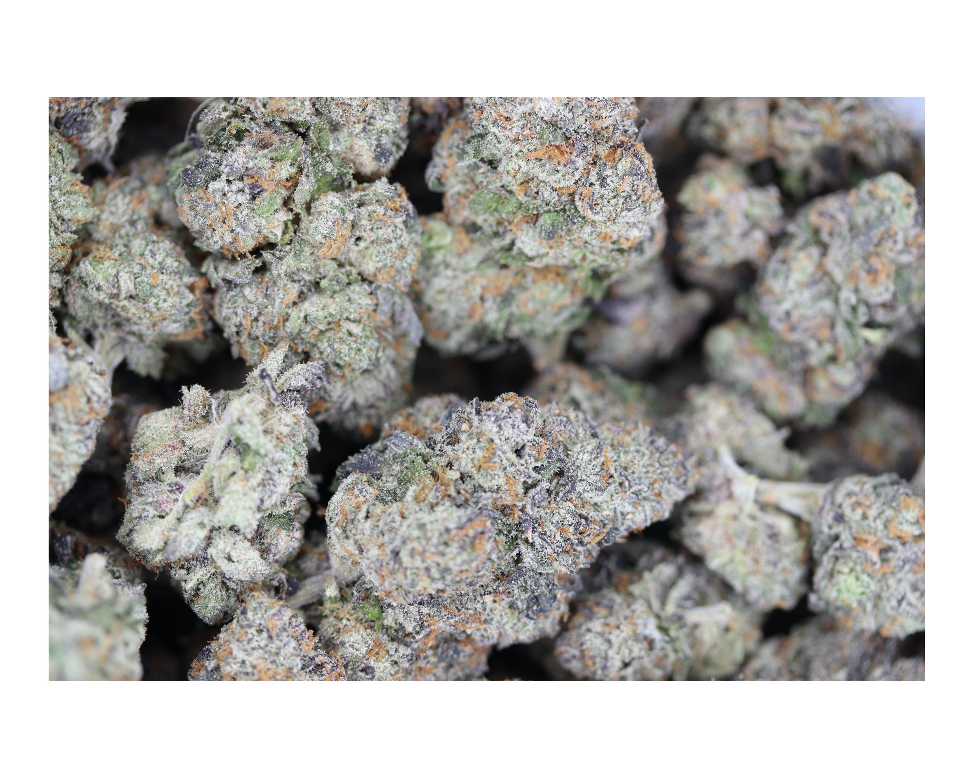 Cherry Chem bag Cherry Chem