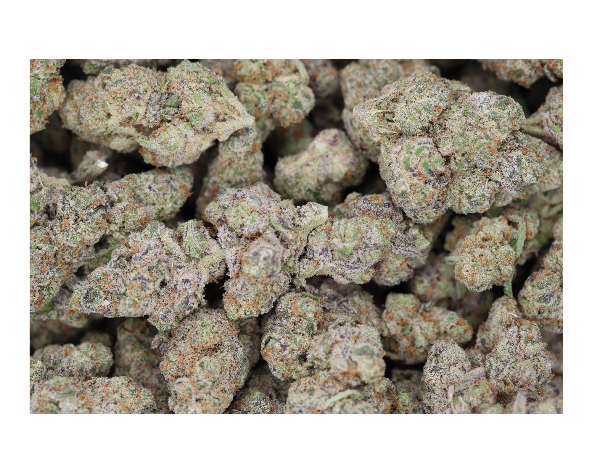 Cherry Diesel bag Hawaiian Snow