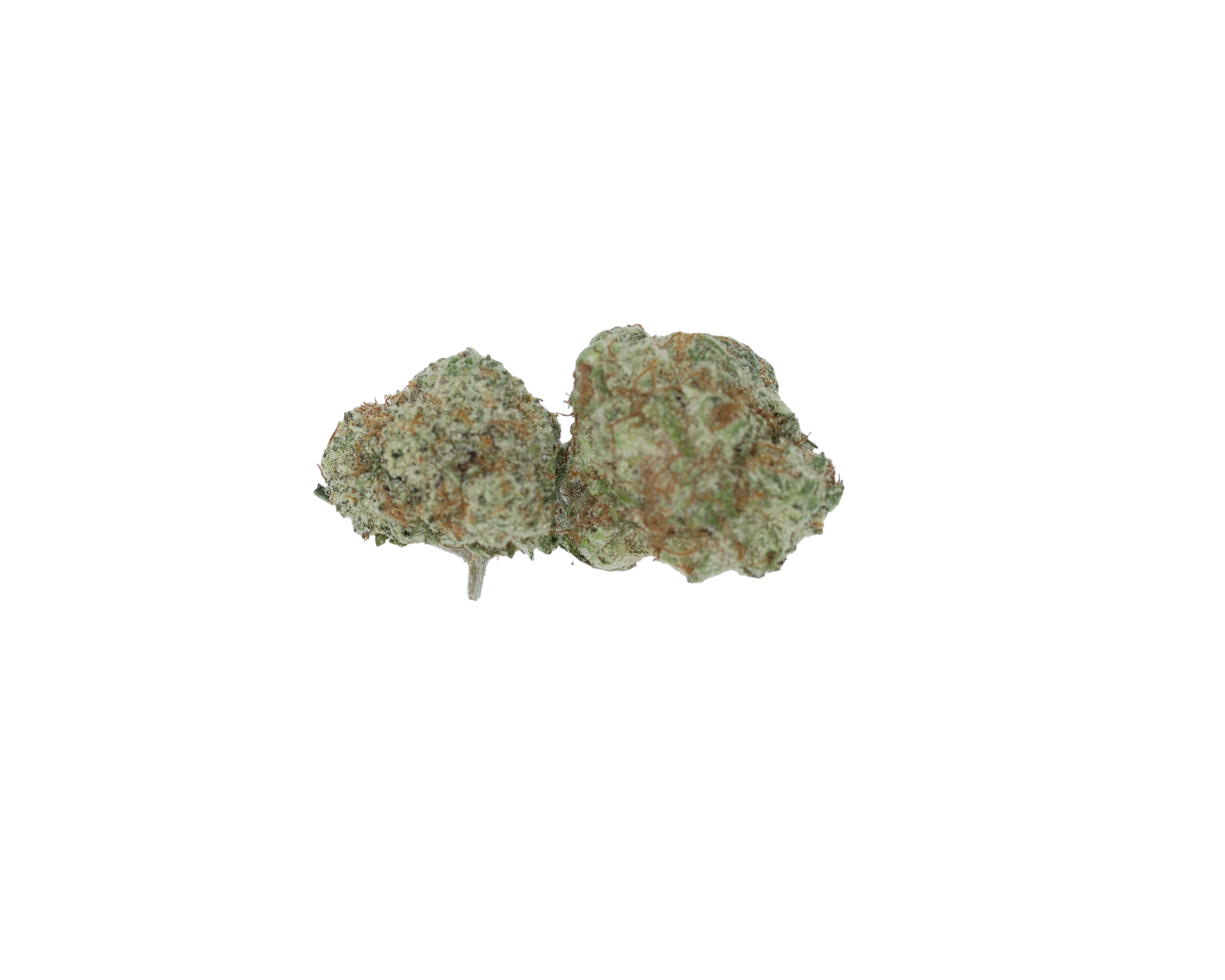 Mango Kush Nug Mango Kush Smalls
