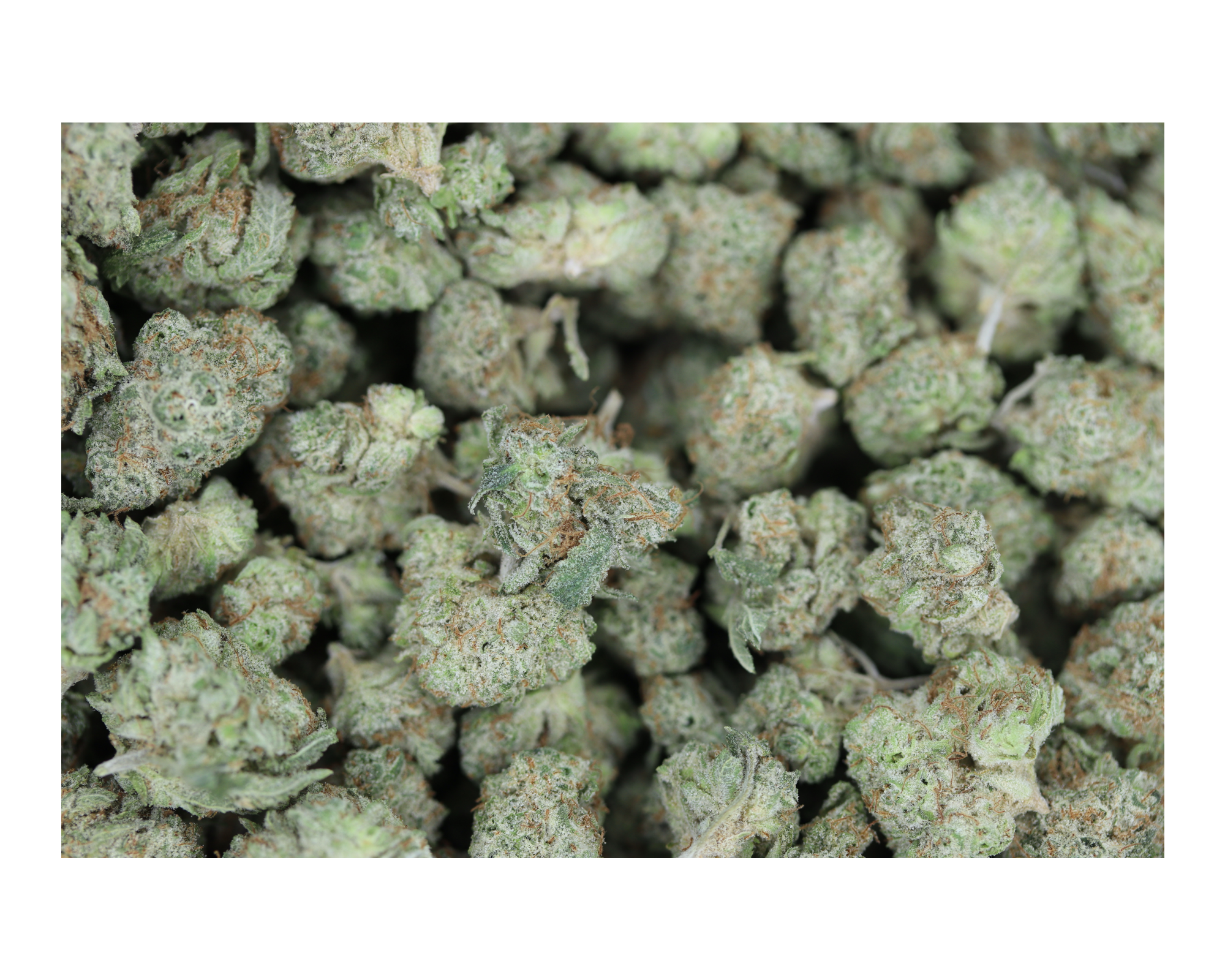 Mango Kush bag Mango Kush Smalls