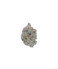Gastown OG