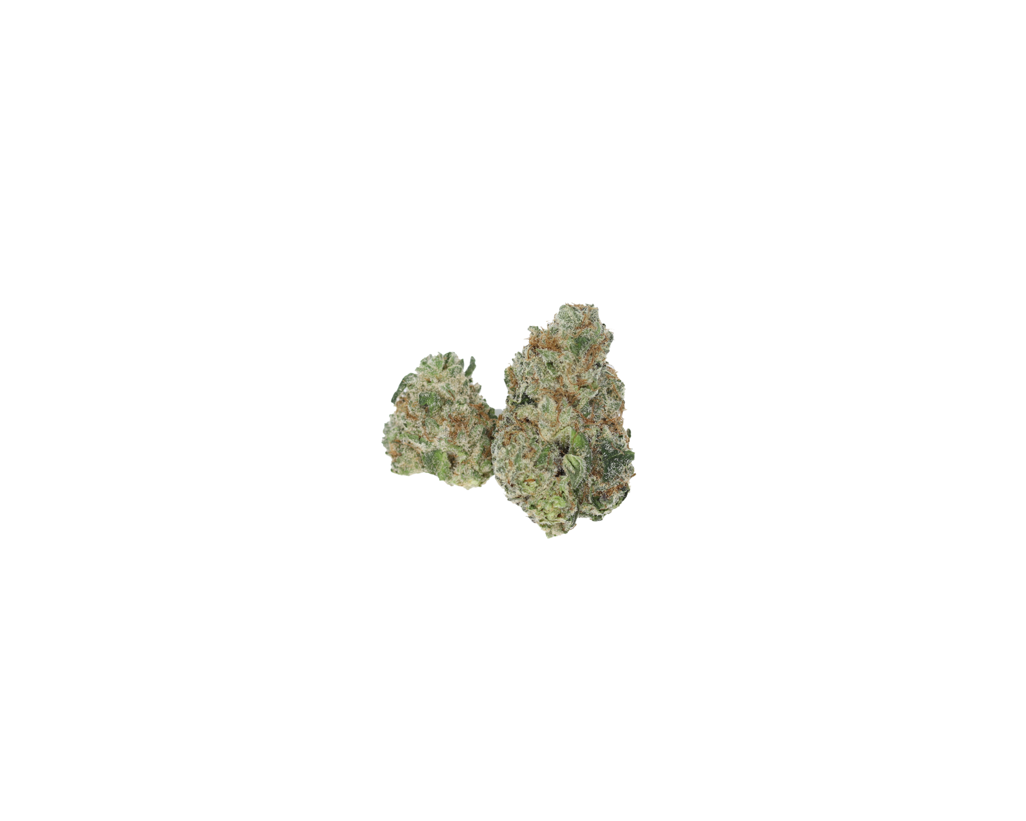 Jolly Rancher Nug Jolly Rancher Smalls