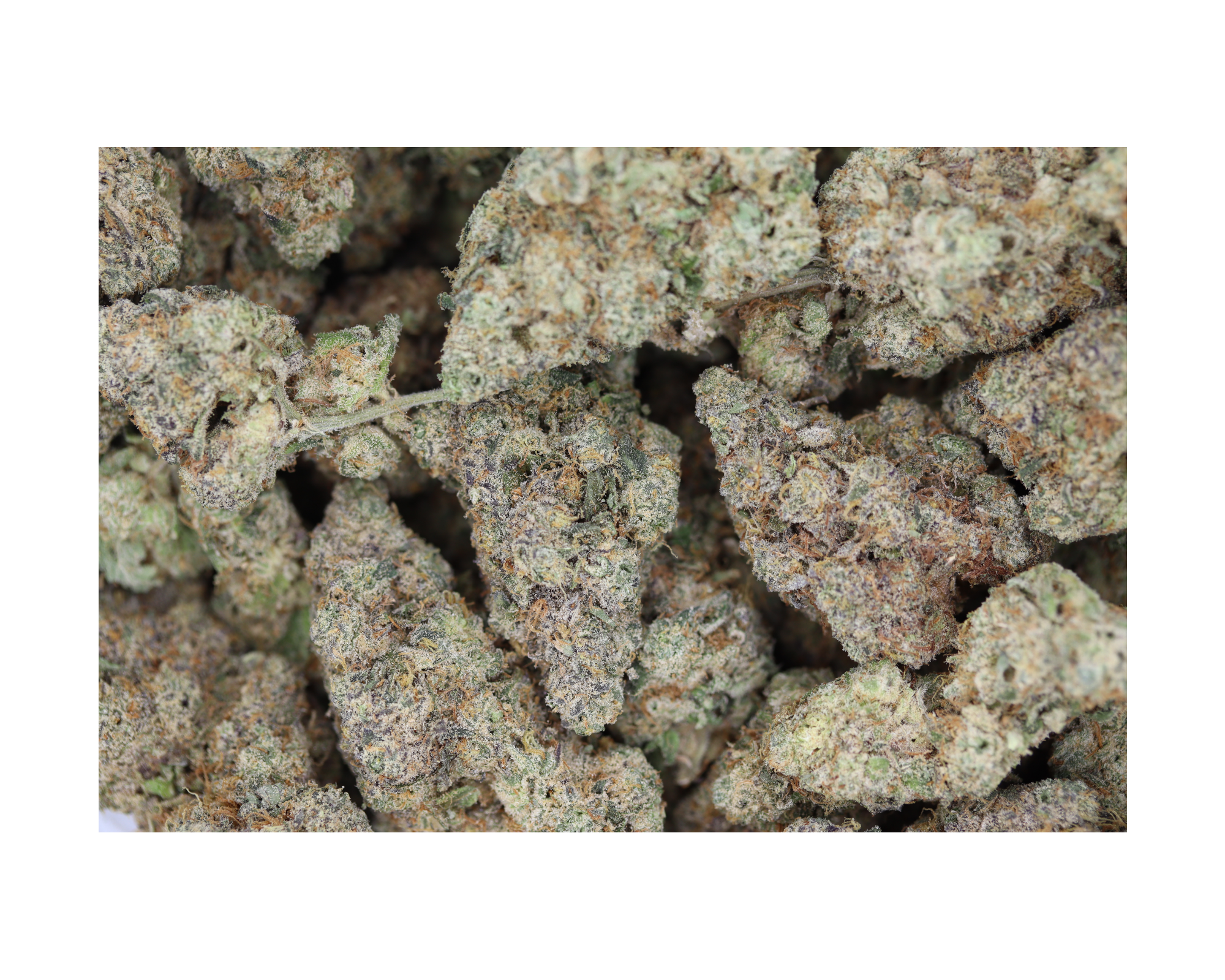 Cherry Haze bag Cherry Haze