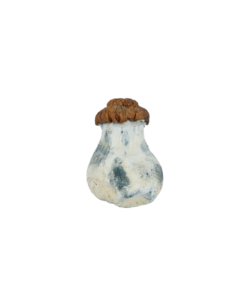 Dido Egg