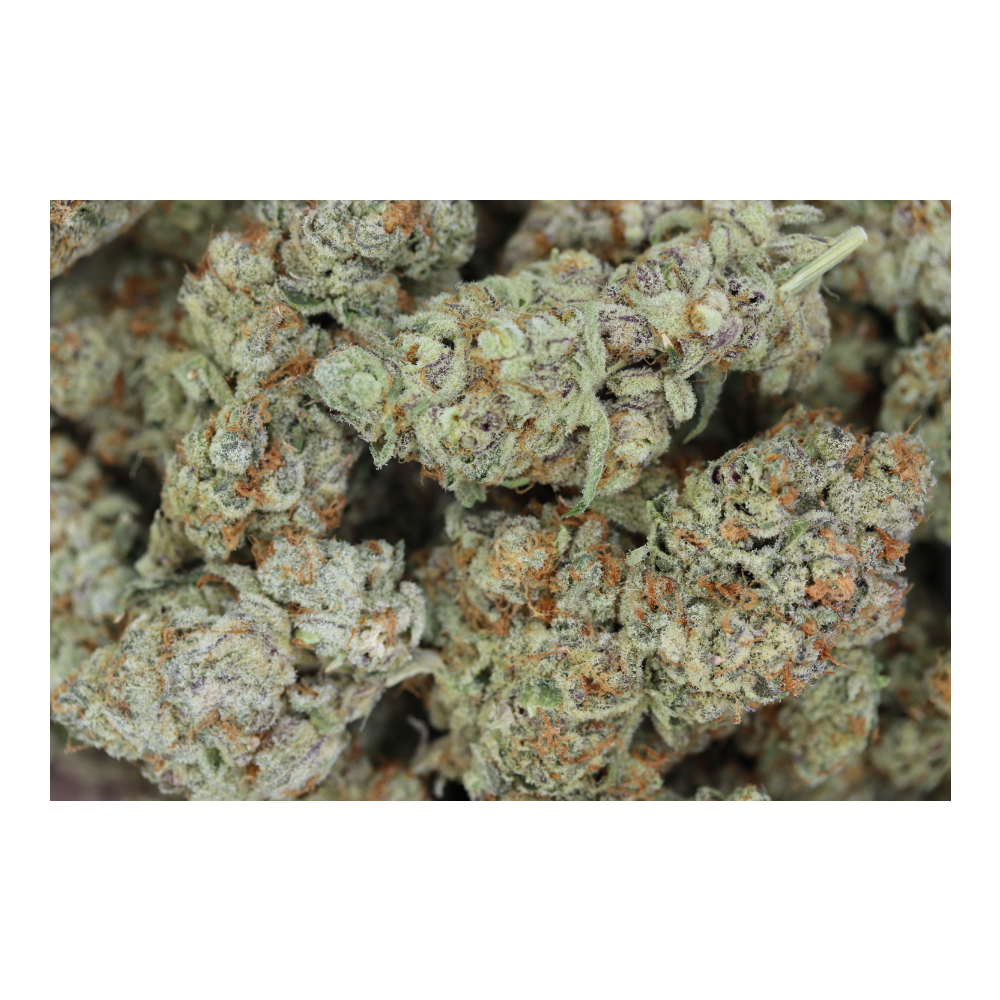 DragonKandy Bag Island Exotics - Dragon Kandy