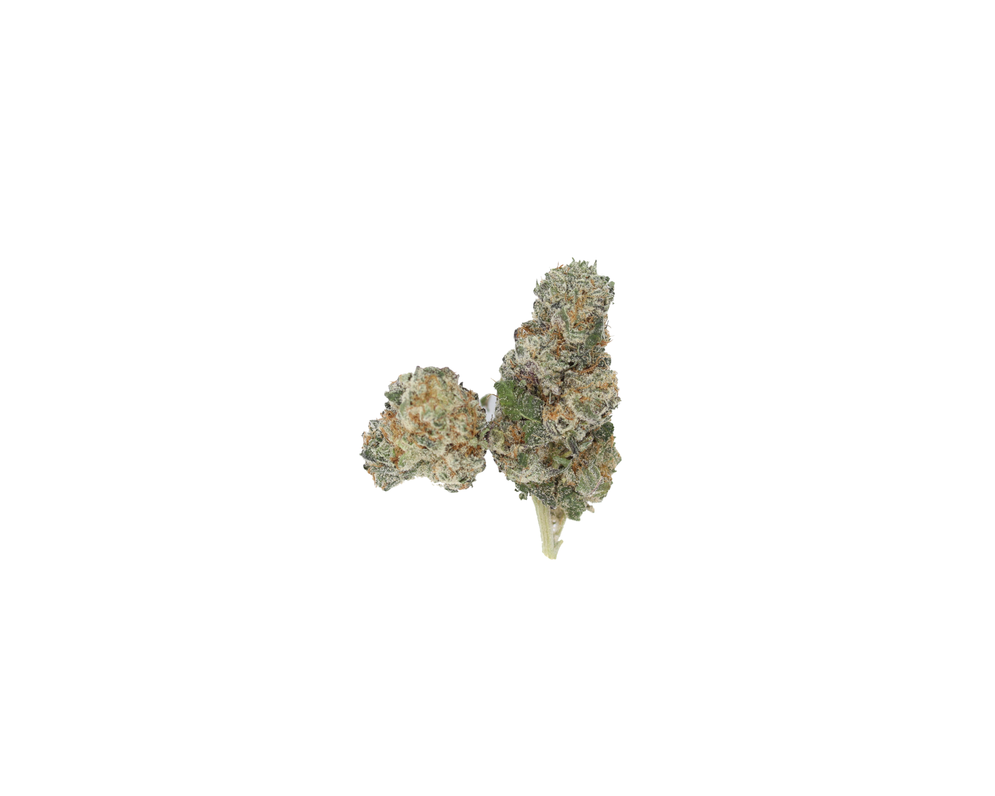 Fruitloops Nug Fruit Loops Smalls