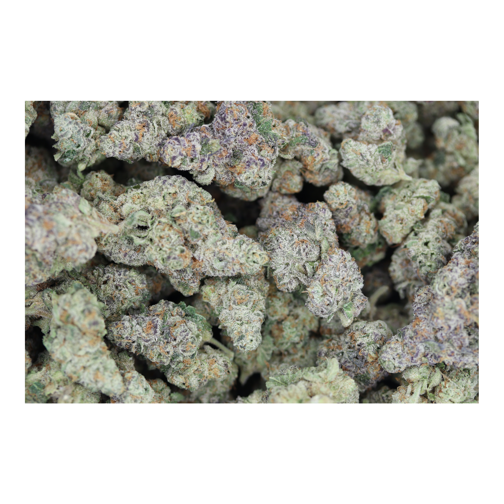 Frumpz bag Frumps