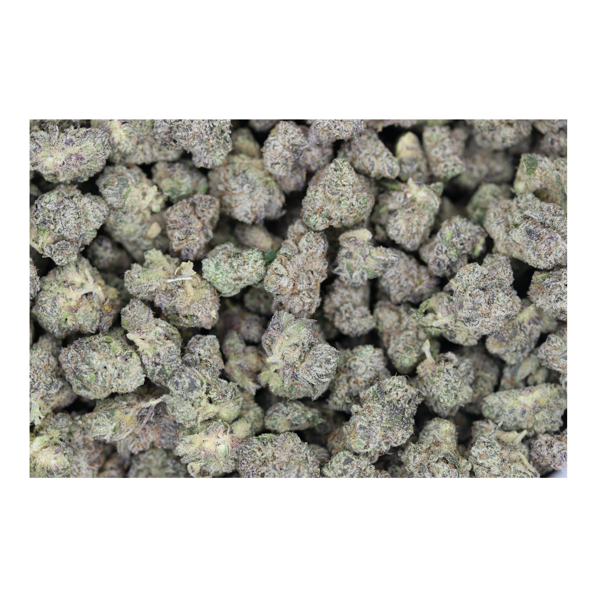 GasCookies Smalls bag Gas Cookies Smalls