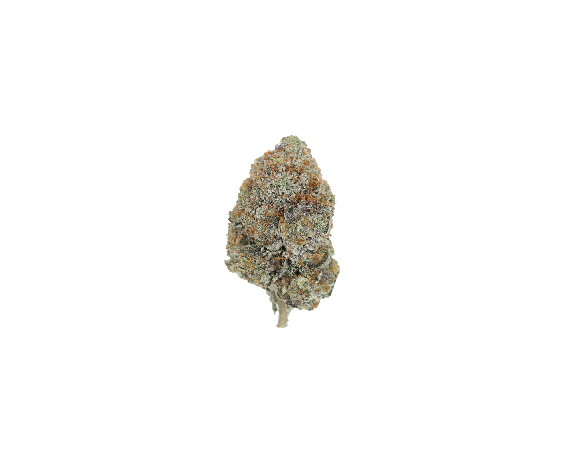 GasMilitia IslandPink Nug Gas Militia - Island Pink