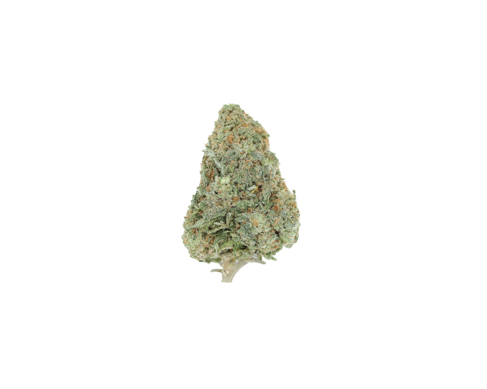 LemonSour Nug Lemon Sour OG