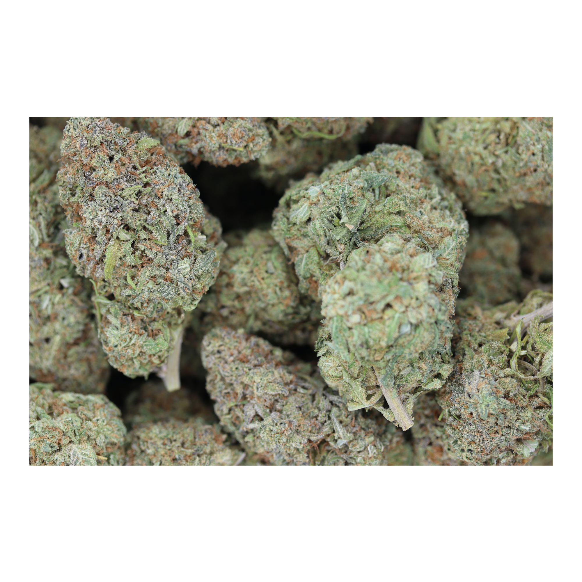 LemonSour bag Lemon Sour OG