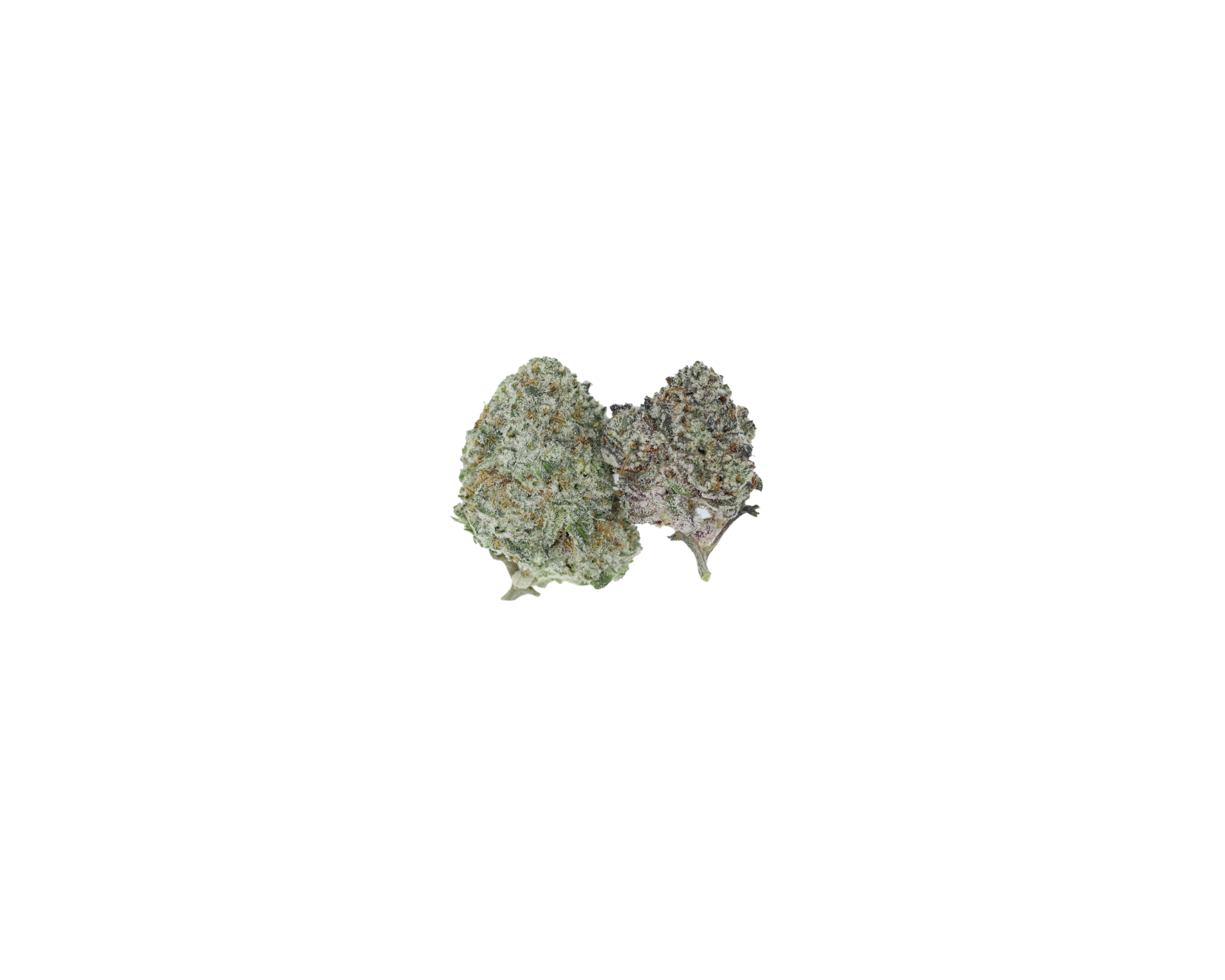 Magic MAC Smalls Nug Magic MAC Smalls