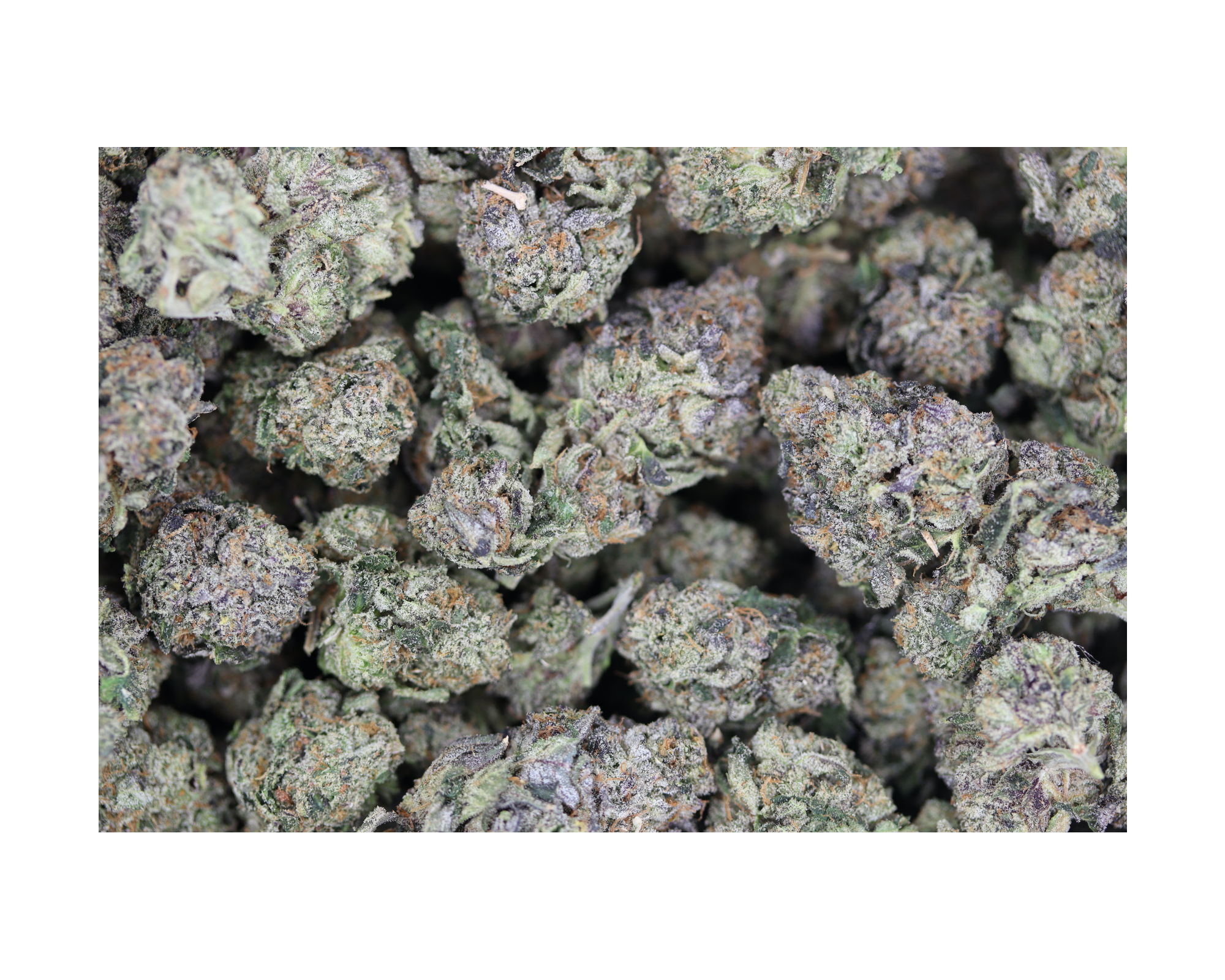 Mendo OG bag Mendo OG